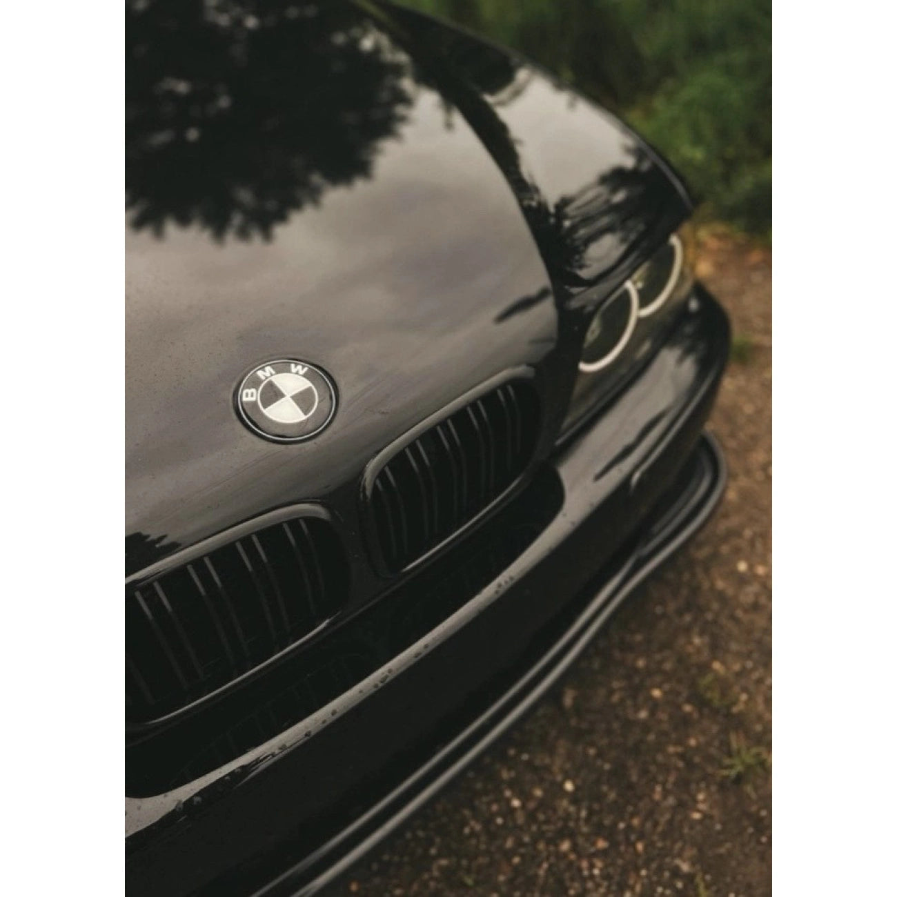 Radiator Front Grilles BMW 5-Series E39 (1995-2003) (Gloss Black/Double)